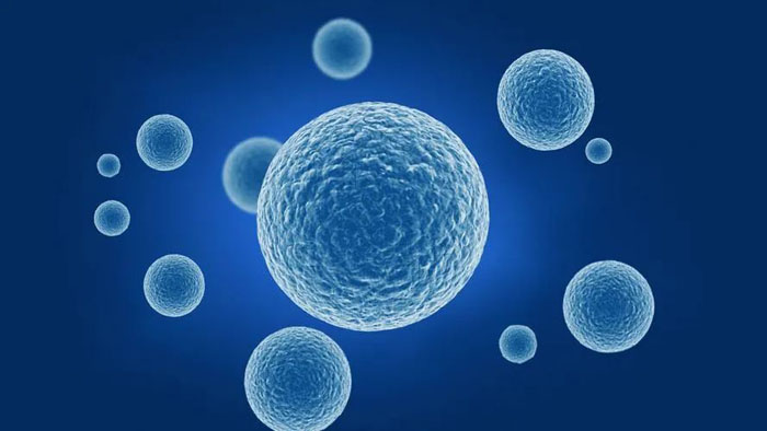 关于干细胞治疗肾病尿毒症，你知道吗？