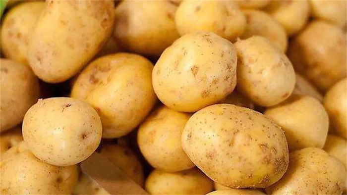 为什么有些患者治疗疗效不好,部分患者治愈后还会复发?